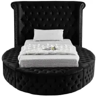 Luxus Twin Bed in Black by Meridian Furniture