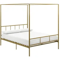 Marion Canopy Bed Full in Gold by DOREL HOME FURNISHINGS