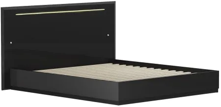 Florence Panel Bed w/ LED Lighting in Gloss Black by Chintaly Imports