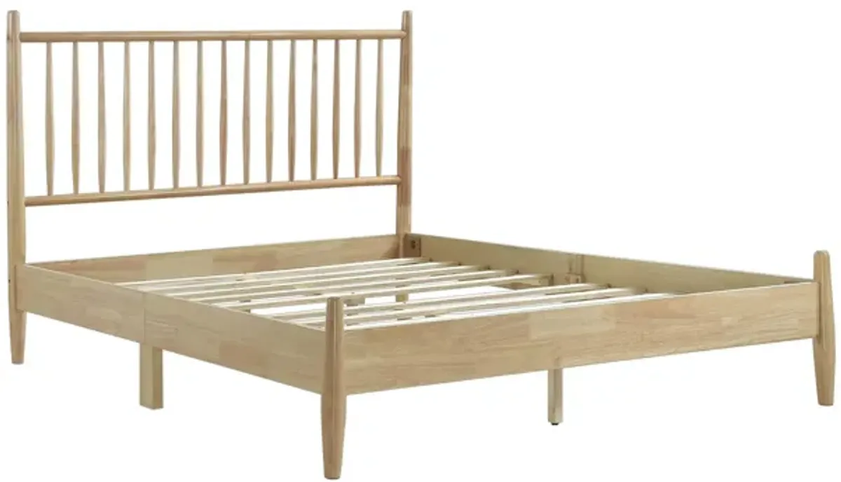 Zuri Queen Platform Bed