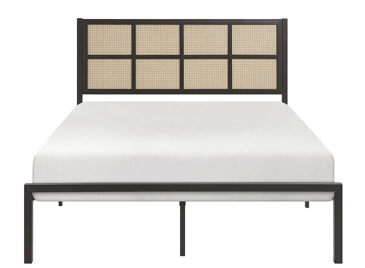 Brewster Queen Platform Bed in Dark Bronze by Homelegance