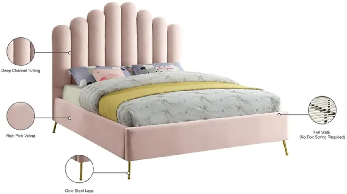 Lily Bed