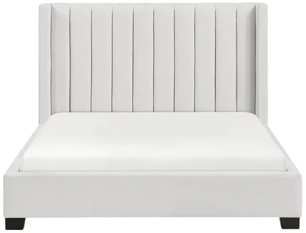 Campell Bed in a Box