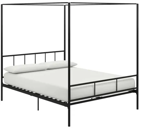 Marion Canopy Bed Queen in Black by DOREL HOME FURNISHINGS