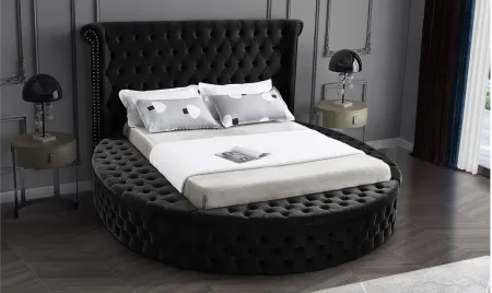 Luxus Queen Bed in Black by Meridian Furniture