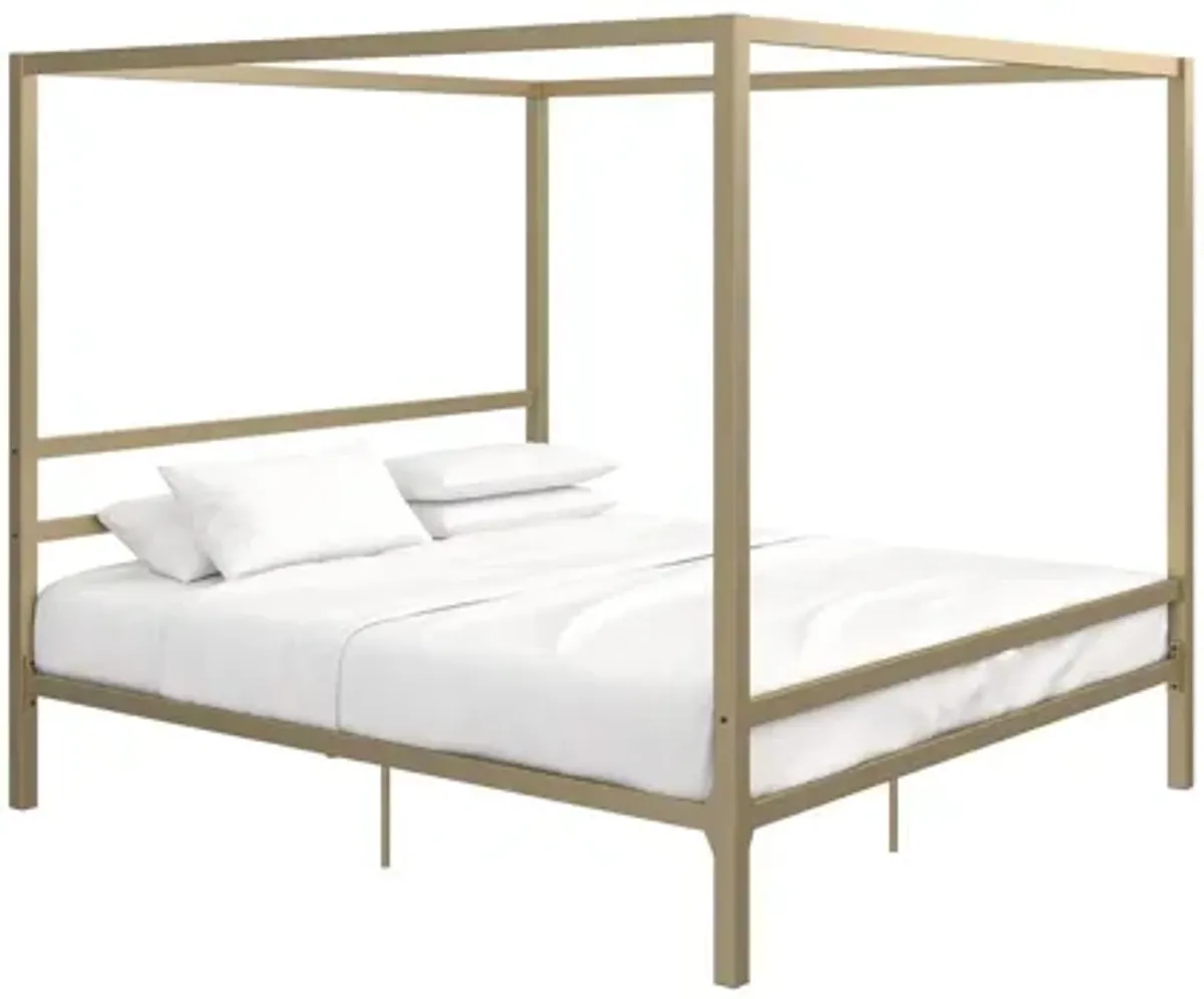 Cara Canopy Bed