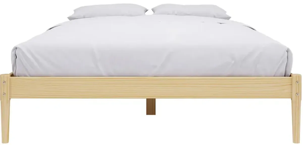 Kai Queen Platform Bed