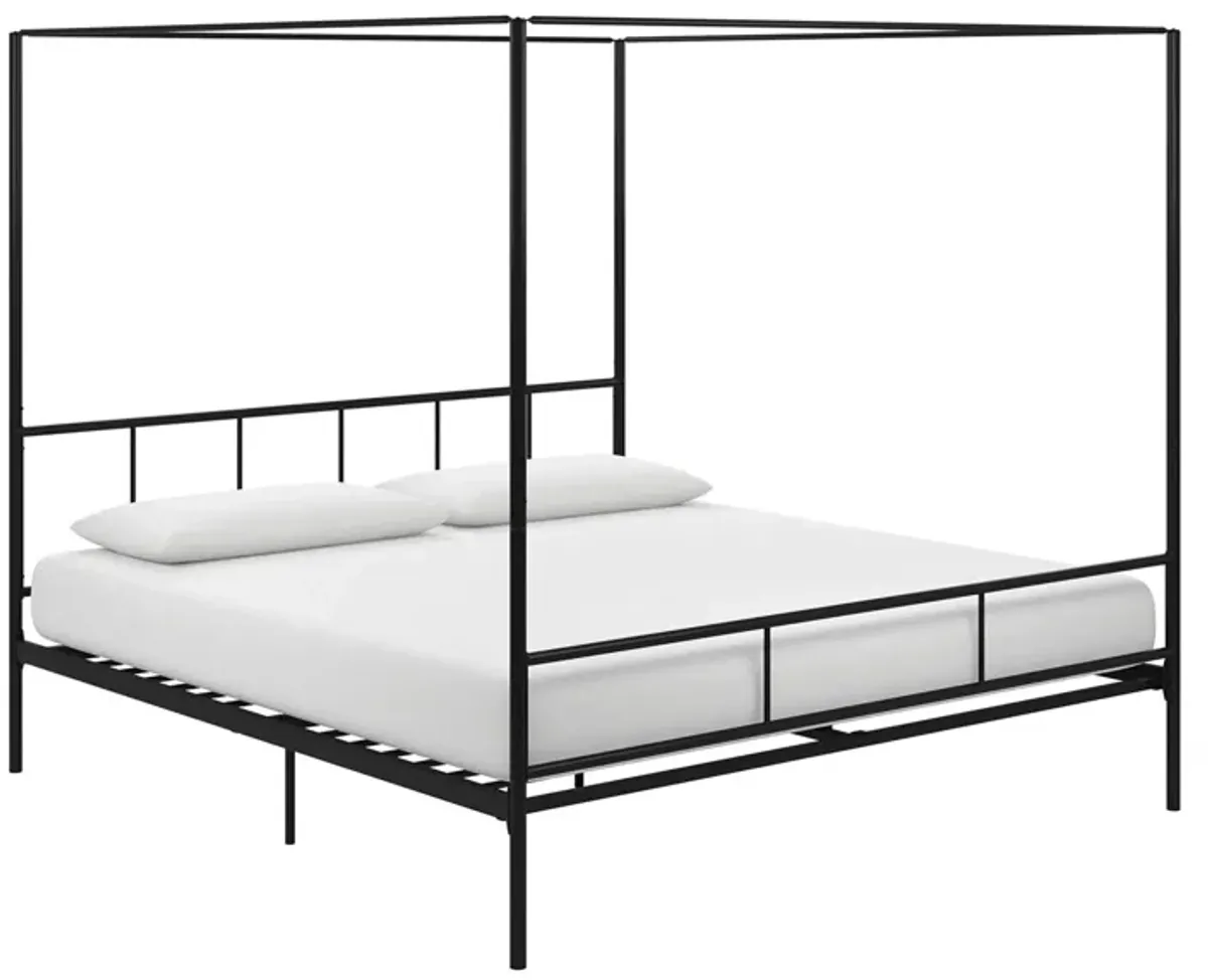 Marion Canopy Bed King in Black by DOREL HOME FURNISHINGS