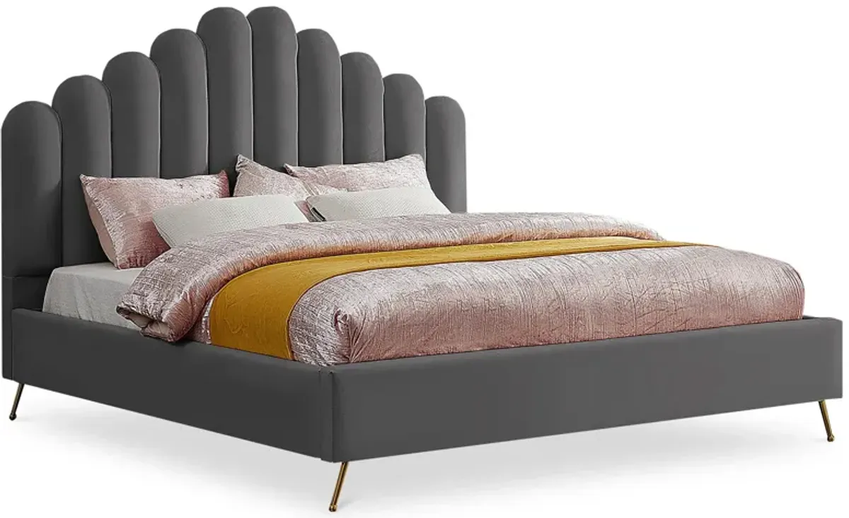 Lily Bed