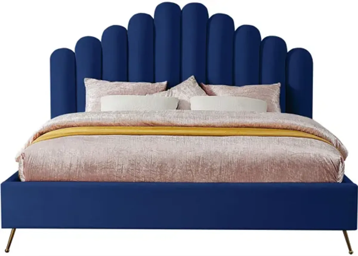 Lily Bed