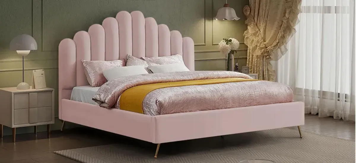 Lily Bed