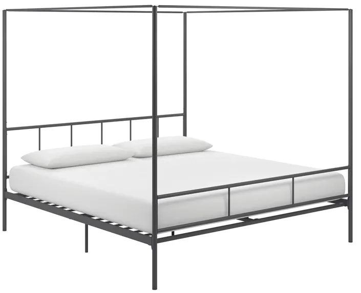 Marion Canopy Bed King in Gunmetal Gray by DOREL HOME FURNISHINGS