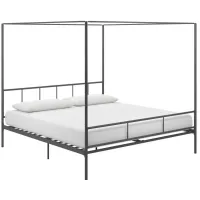 Marion Canopy Bed King in Gunmetal Gray by DOREL HOME FURNISHINGS