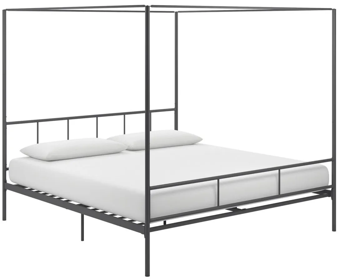 Marion Canopy Bed King in Gunmetal Gray by DOREL HOME FURNISHINGS