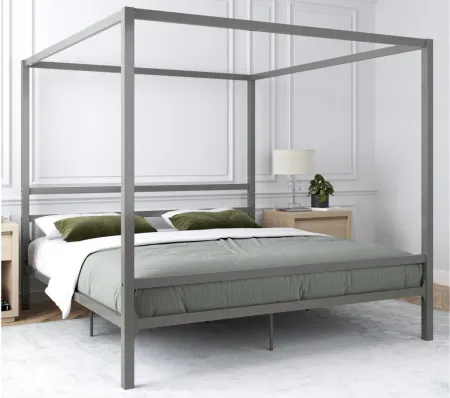 Cara Canopy Bed King in Gray by DOREL HOME FURNISHINGS