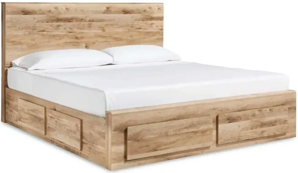 Hyanna Queen Panel Storage Bed