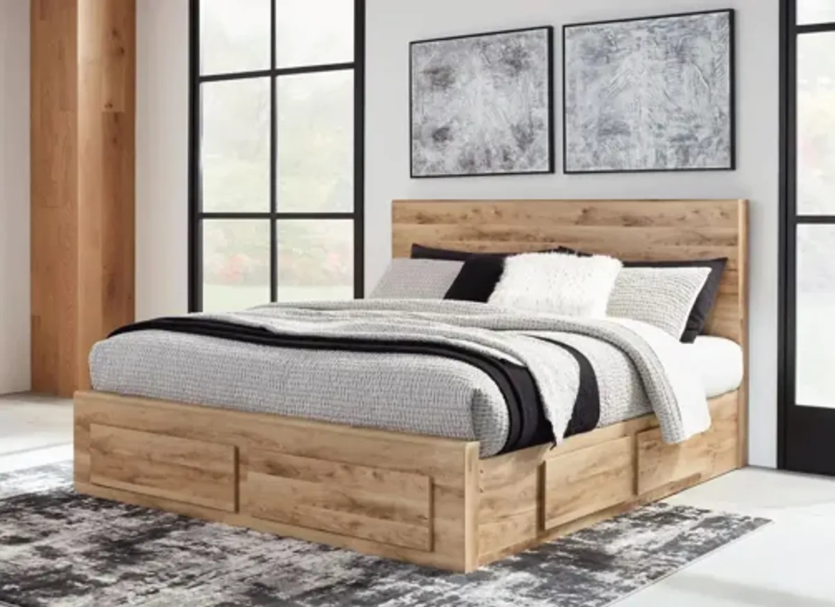 Hyanna Queen Panel Storage Bed