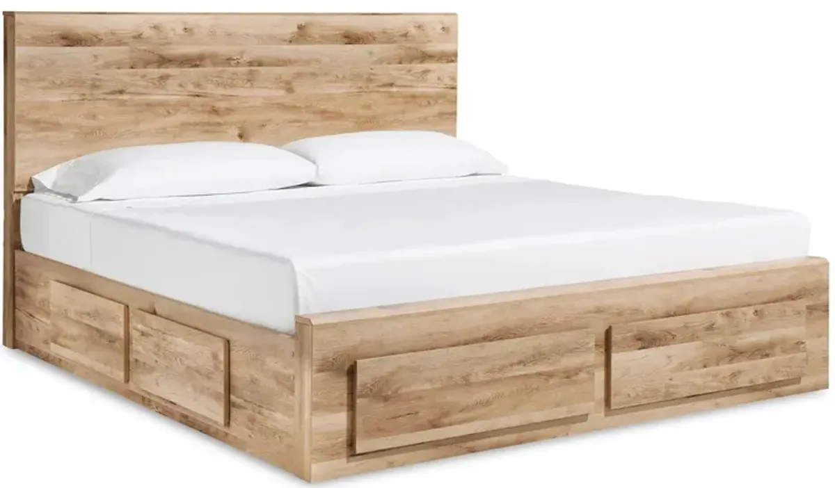 Hyanna Queen Panel Storage Bed