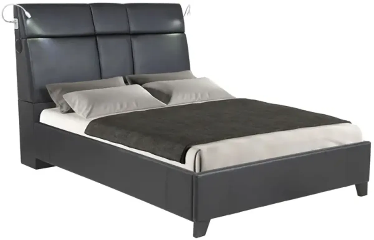 Calypso Bed