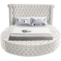 Luxus Queen Bed in Cream by Meridian Furniture