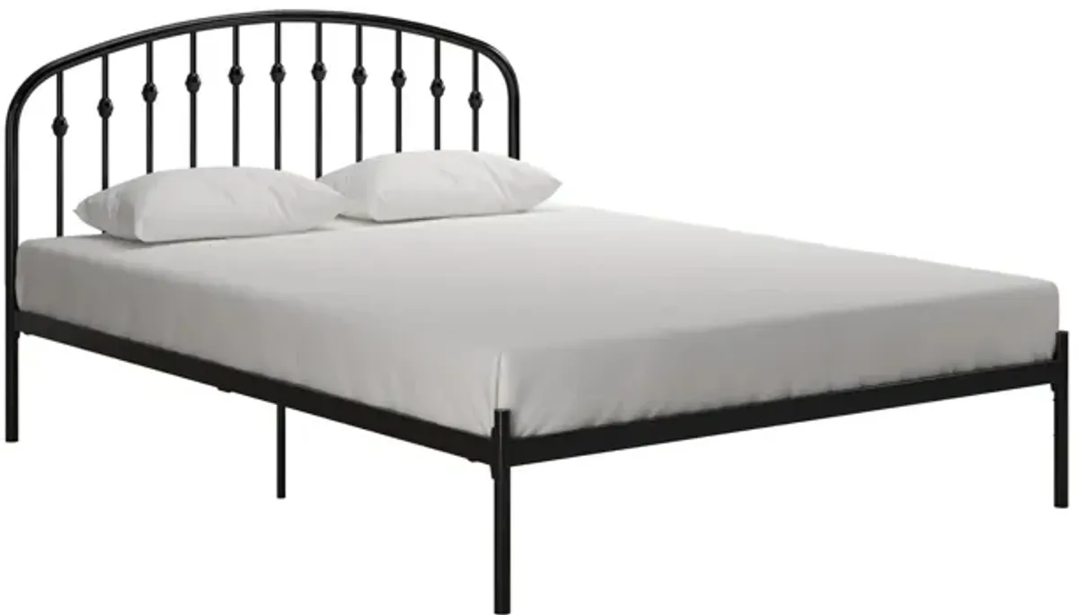 Sally Queen Platform Bed