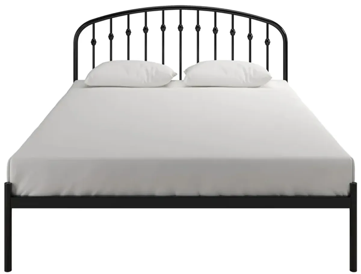 Sally Queen Platform Bed