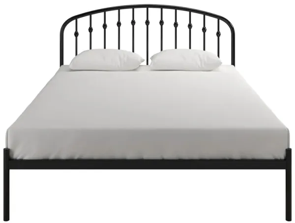 Sally Queen Platform Bed