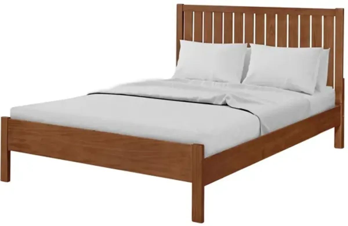 Graham Platform Bed in Walnut by CAMDEN ISLE