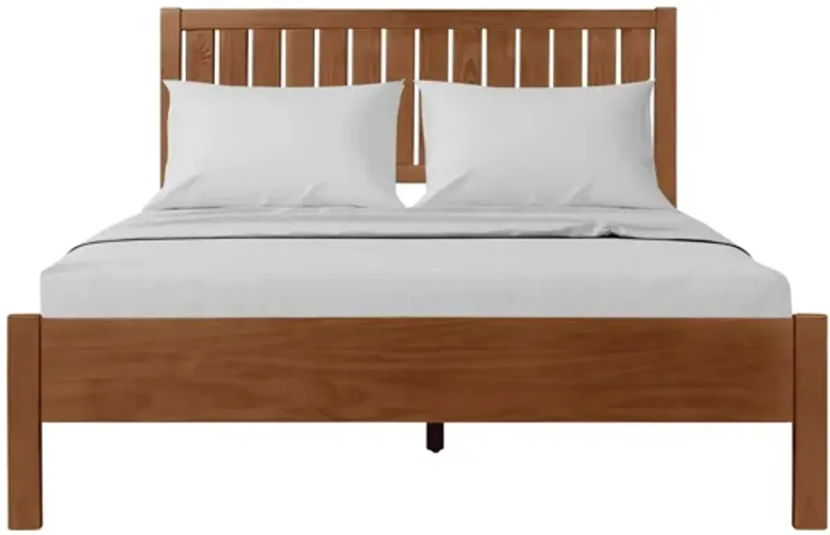 Graham Platform Bed in Walnut by CAMDEN ISLE