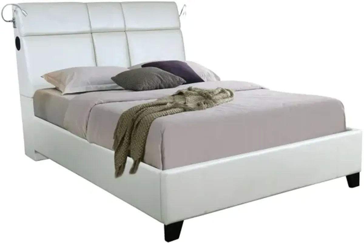 Calypso Bed