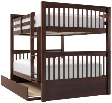 Jordan Full-Over-Full Bunk Bed w/ Trundle in Chocolate by Hillsdale Furniture