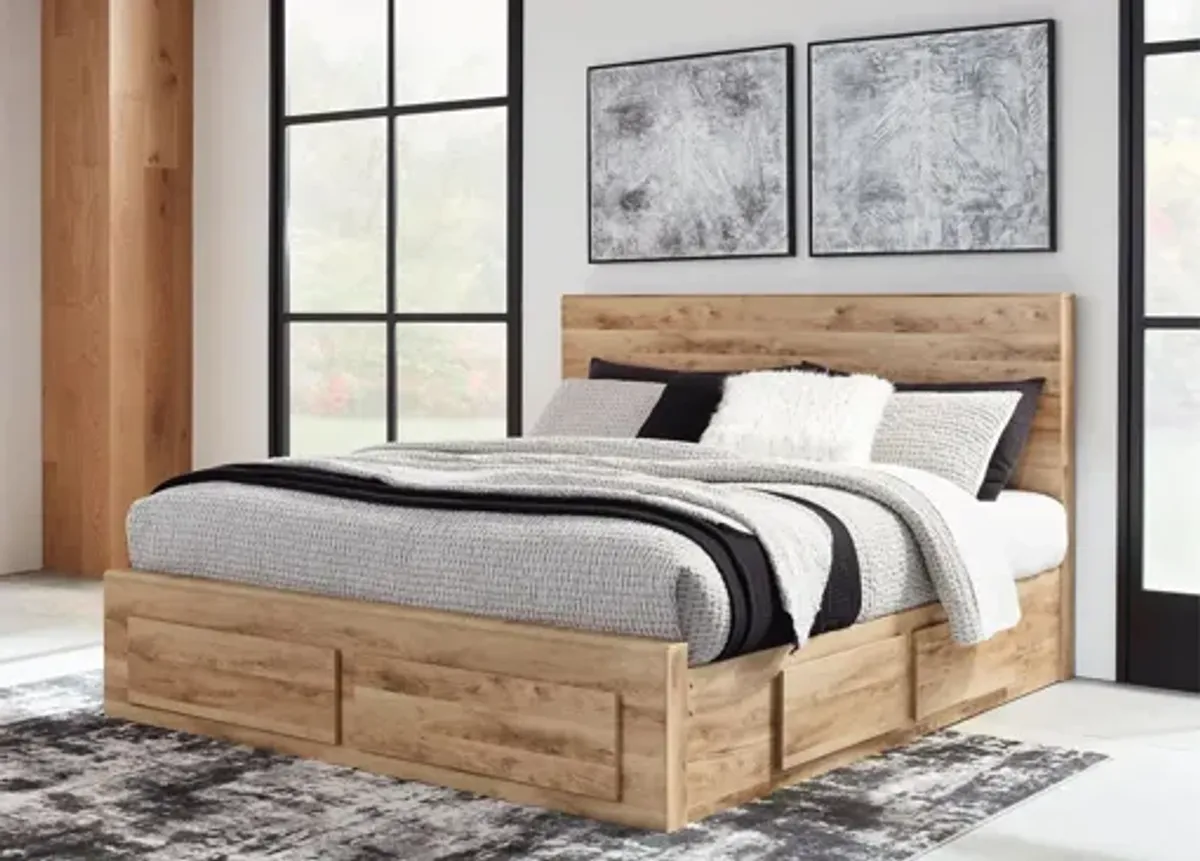 Hyanna King Panel Storage Bed