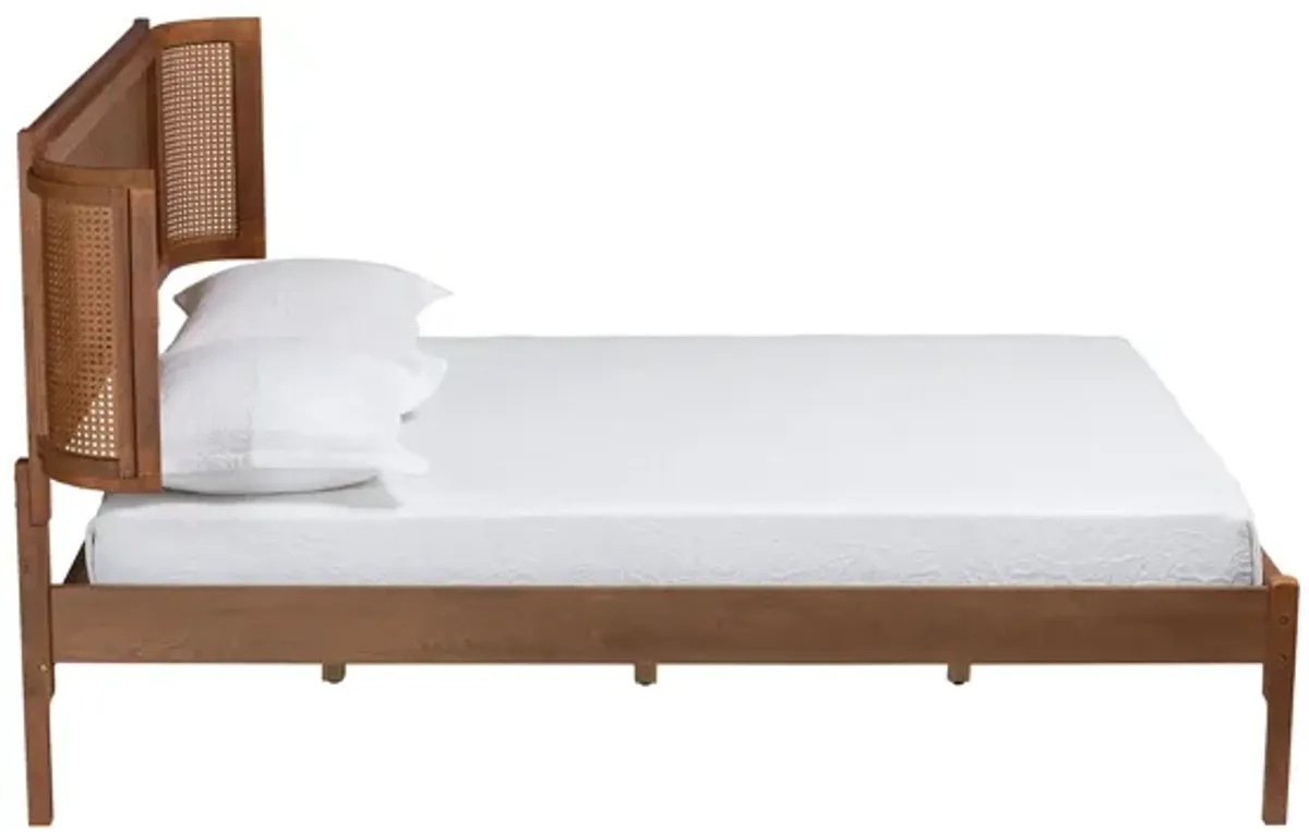 Eridian Platform Bed