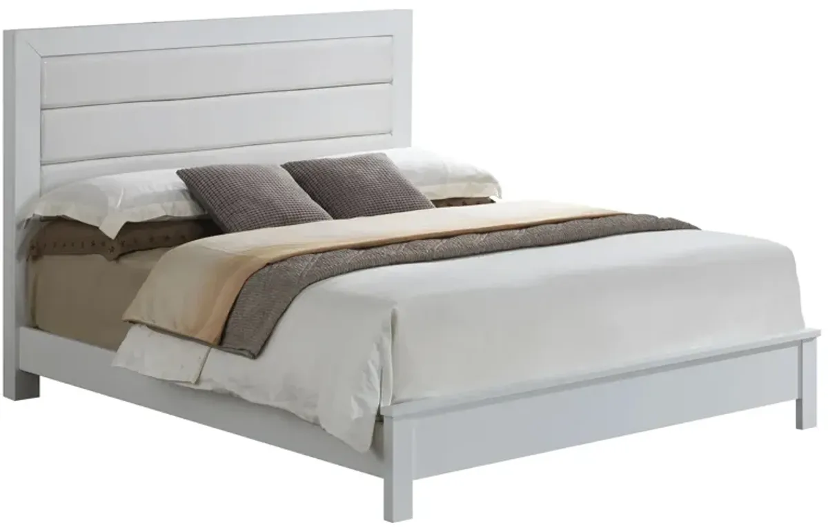 Burlington Upholstered Bed