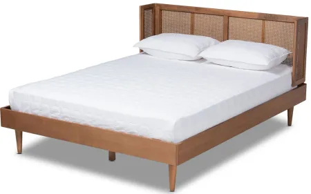 Rina Mid-Century Platform Bed with Wrap-Around Headboard in Ash by Wholesale Interiors