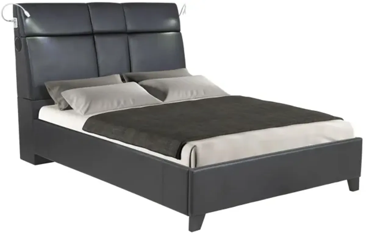 Calypso Bed