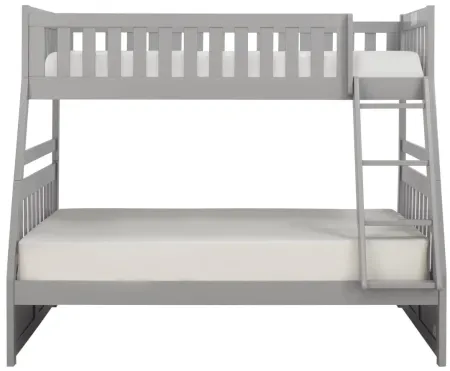 Belisar Twin-Over-Full Bunk Bed in Grey by Bellanest