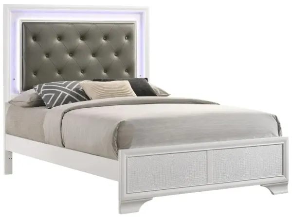 Lyssa Bed