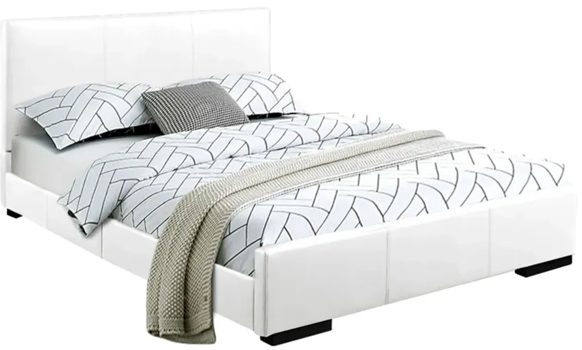 Abbey Platform Bed in White by CAMDEN ISLE