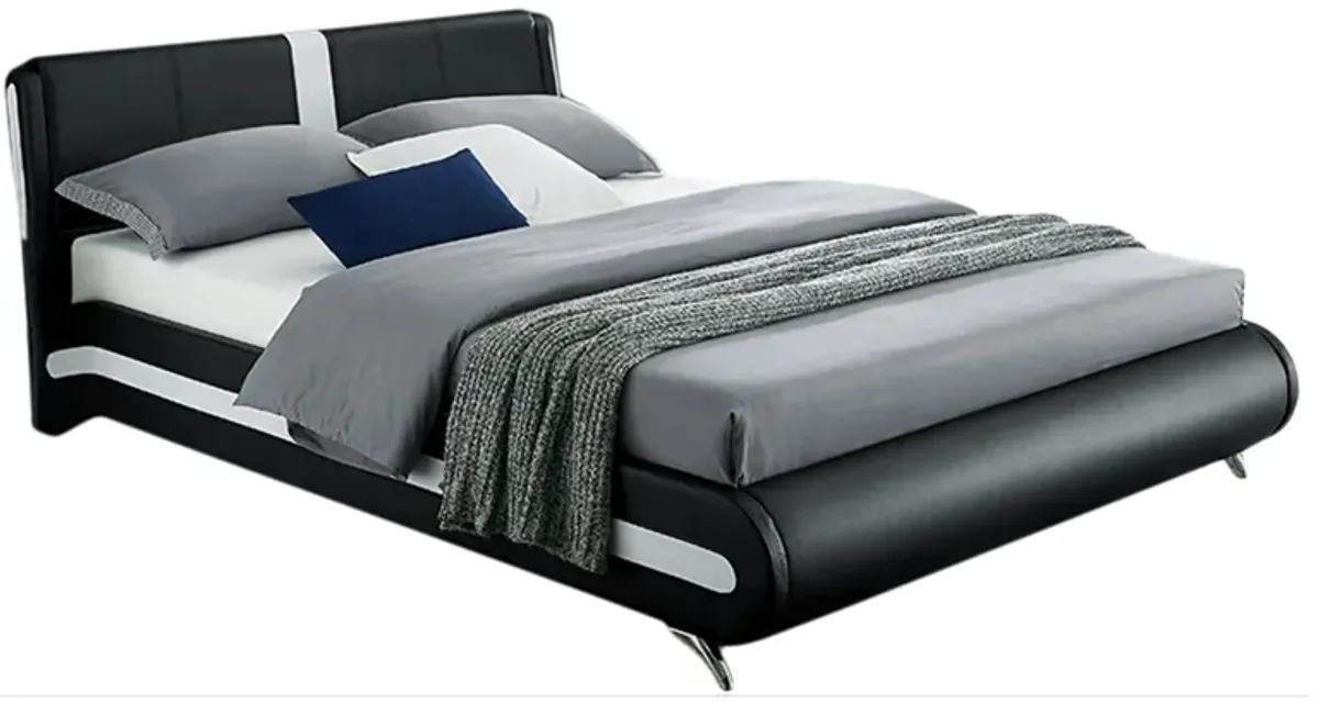 Carlton Platform Bed in Black by CAMDEN ISLE