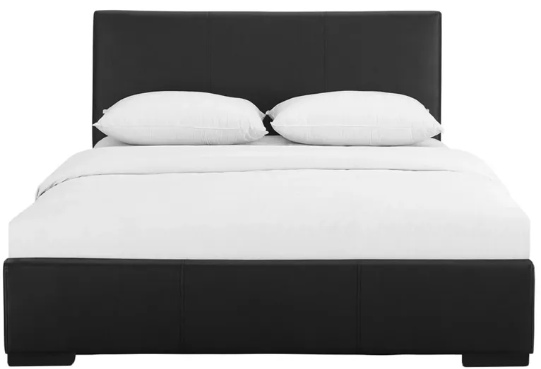 Hindes Platform Bed in Black by CAMDEN ISLE