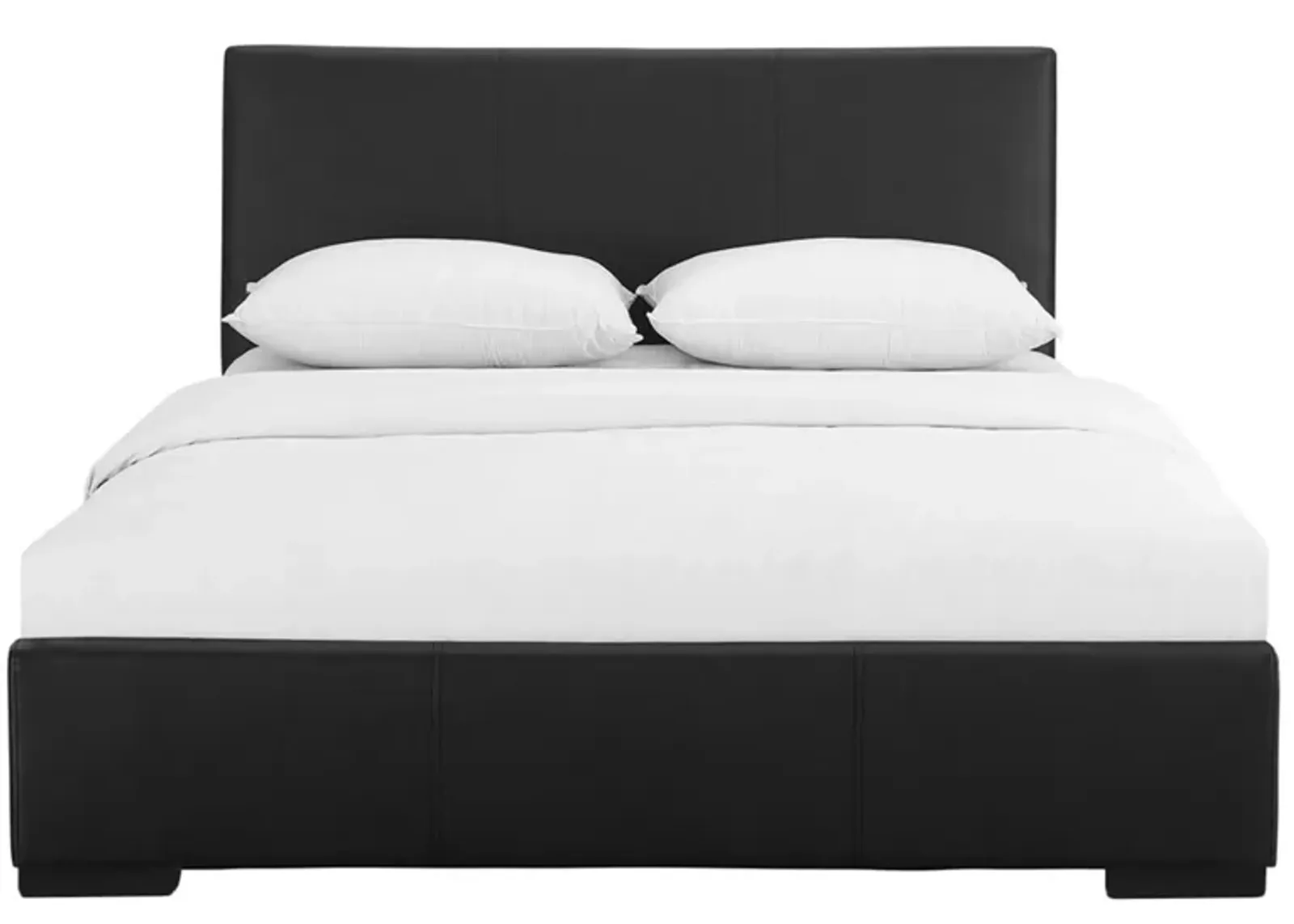 Hindes Platform Bed in Black by CAMDEN ISLE