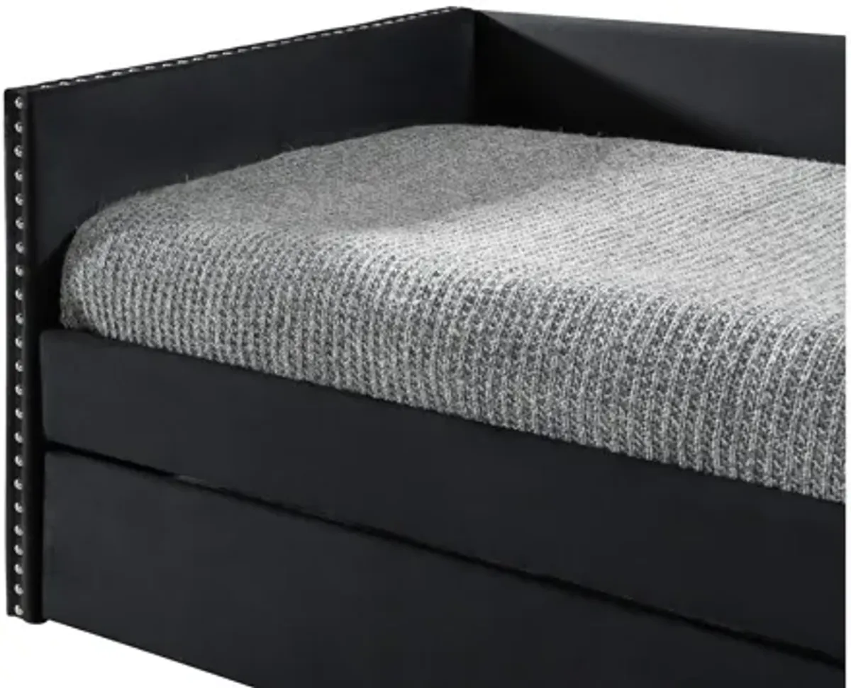 Cardie Daybed with Trundle