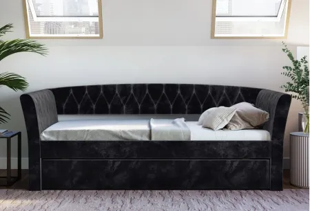 Kingston Velour Daybed with Rolling Trundle Set in Black by Boyd Flotation