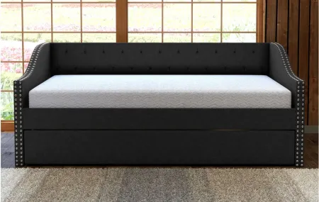 Mandrake Fabric Daybed with Trundle Set in Black by Boyd Flotation
