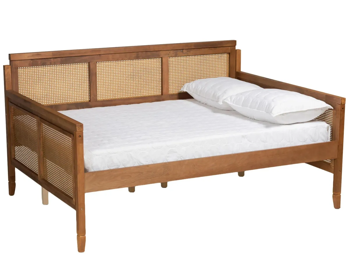 Toveli Daybed in Ash Walnut by Wholesale Interiors