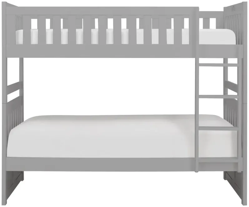 Belisar Twin-Over-Twin Bunk Bed in Grey by Bellanest