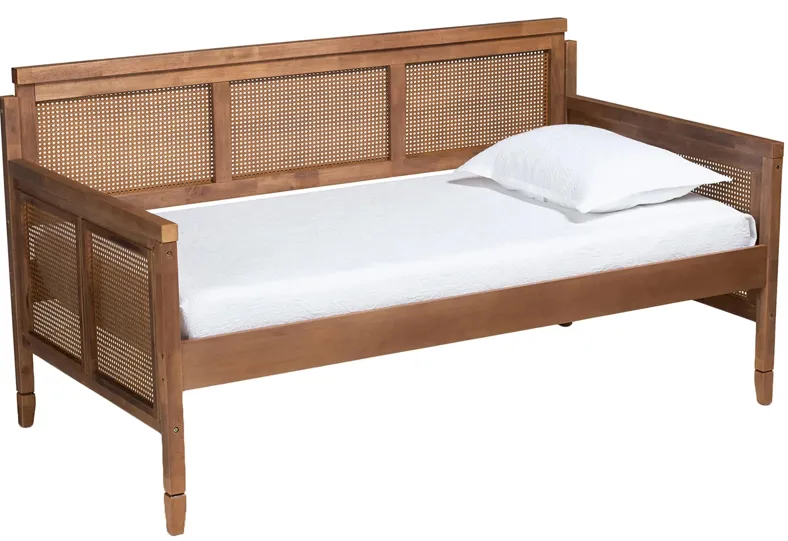 Toveli Daybed in Ash walnut by Wholesale Interiors