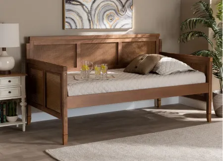 Toveli Daybed in Ash walnut by Wholesale Interiors