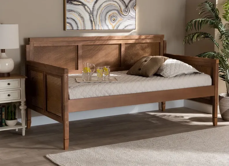 Toveli Daybed in Ash walnut by Wholesale Interiors